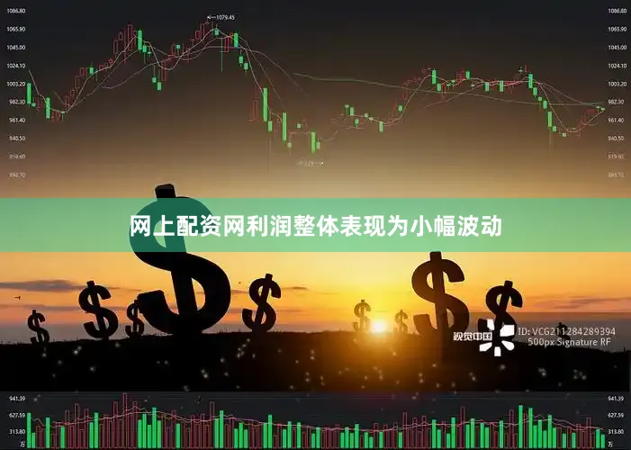 网上配资网利润整体表现为小幅波动
