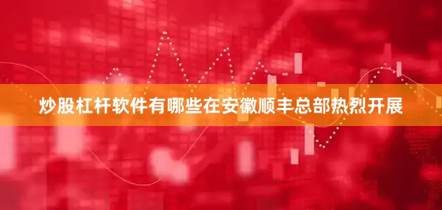 炒股杠杆软件有哪些在安徽顺丰总部热烈开展